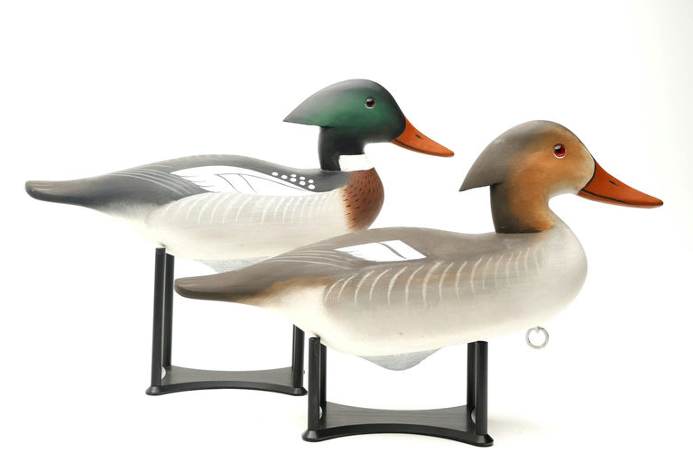Charlie Joiner – Pair of Merganser – 2026