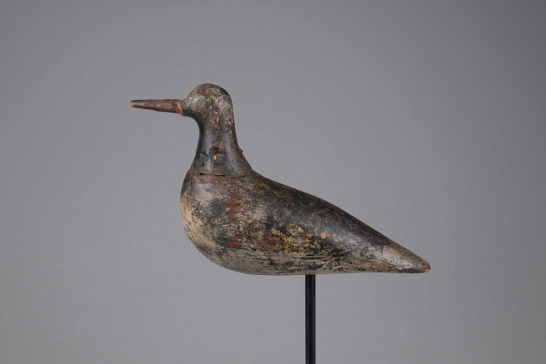 Coffin Family – Golden Plover – 2026