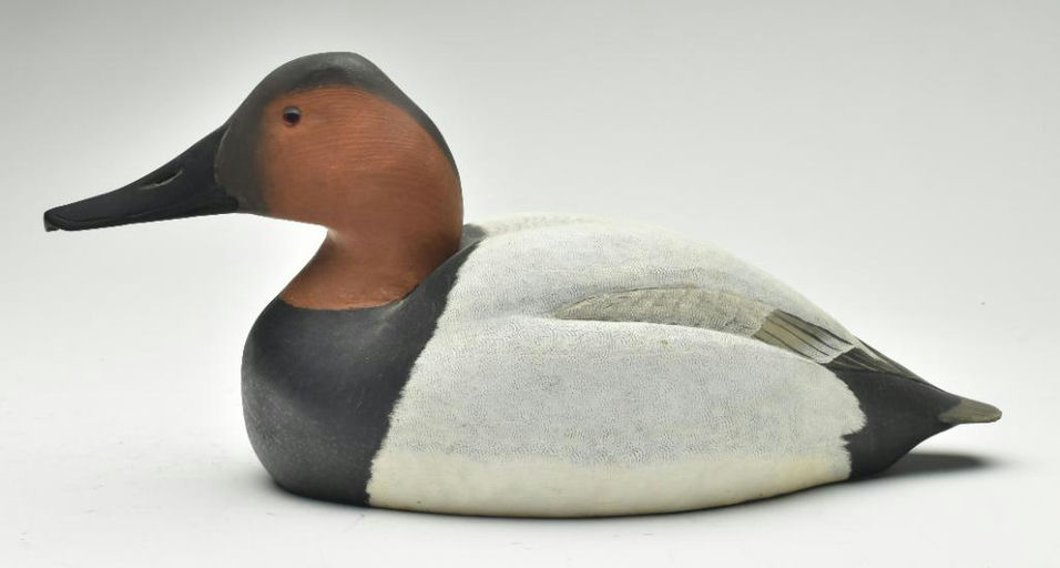 Corb Reed – Canvasback – 2023