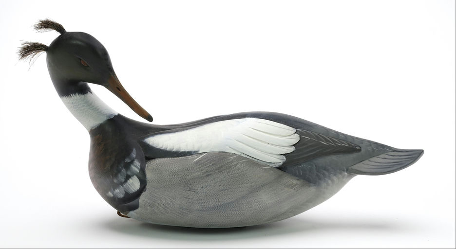 Sean Sutton – Merganser – 2024