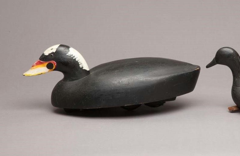 Thomas Langan – Surf Scoter – 2011