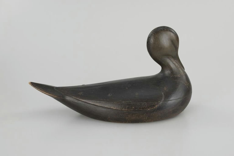 Mark McNair – Breast Preening Black Duck – 2026