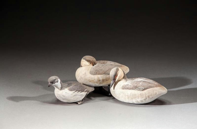 Roger C. Mitchell – Two Grebes and A Dovekie – 2016