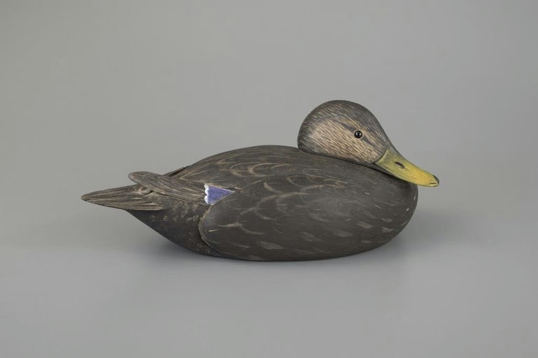 Marty Collins – Tucked-Head Black Duck – 2025