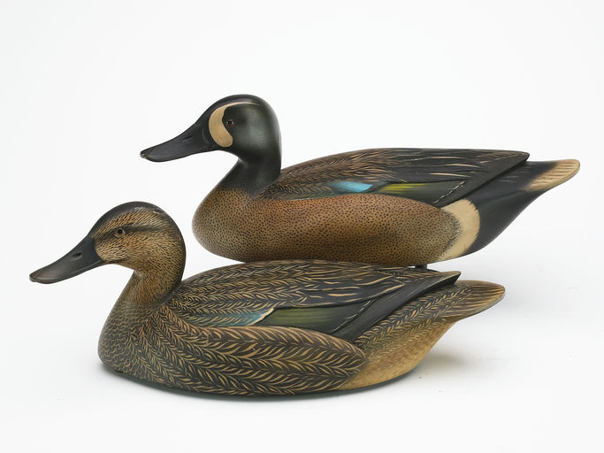 Sean Sutton – Pair of Blue-winged Teal – 2024