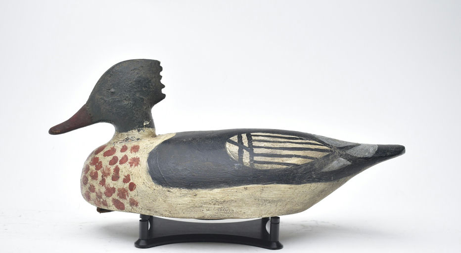 Miles Hancock – Merganser – 2025