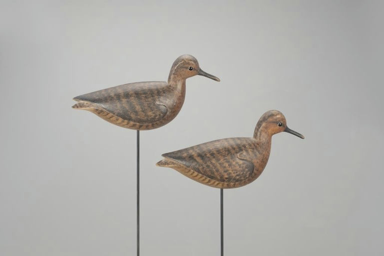 Cameron McIntyre – Red Knot Pair – 2022