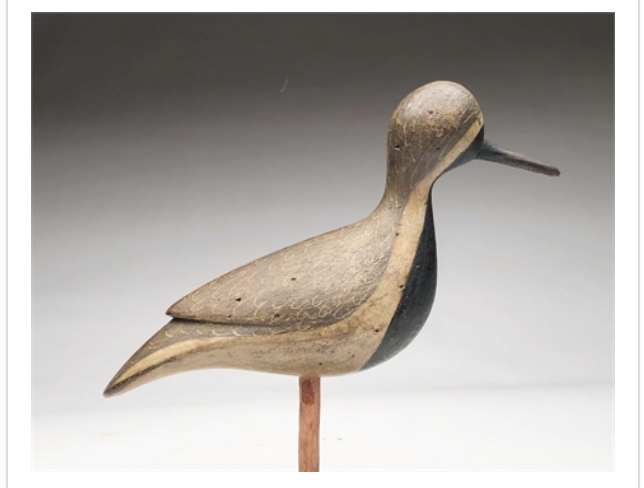 Mark McNair – Black Bellied Plover – 2019