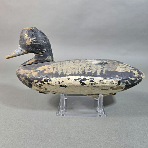Mark Stevens Family Rig Annapolis – Scaup – 2026