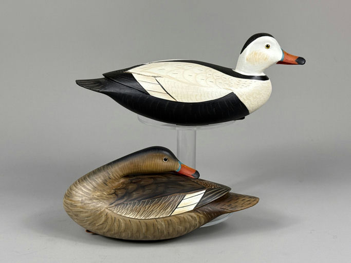 Jode Hillman – Labrador Duck – 2026