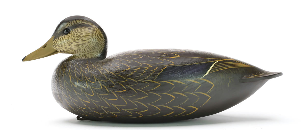 Rick Brown – Black Duck – 2024