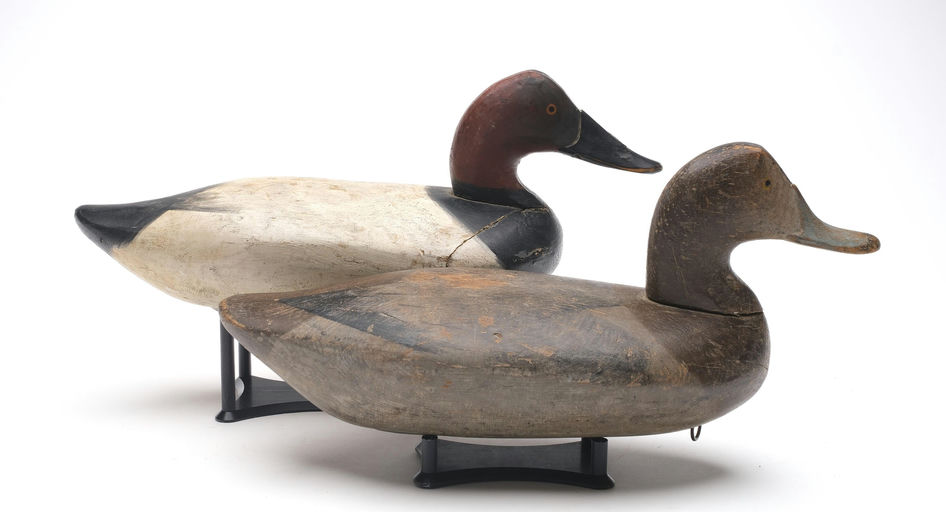 James Currier — Canvasback