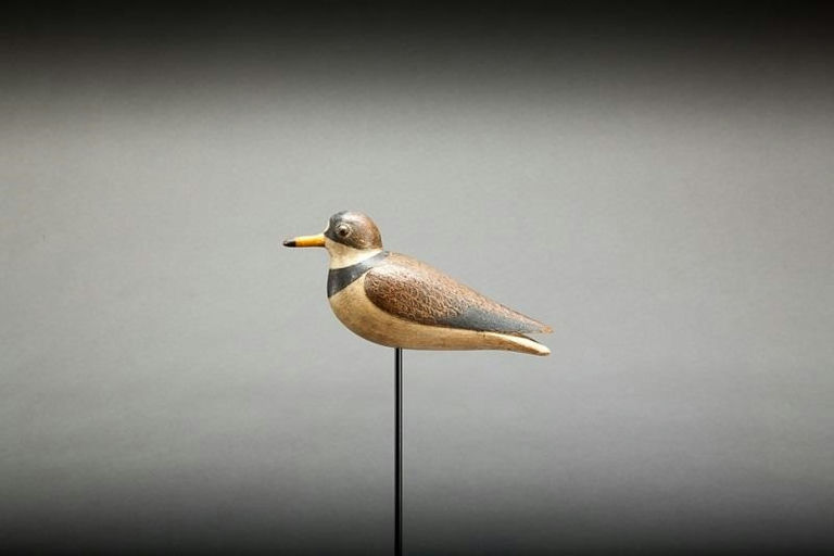 Mark McNair – Semipalmated Plover – 2014