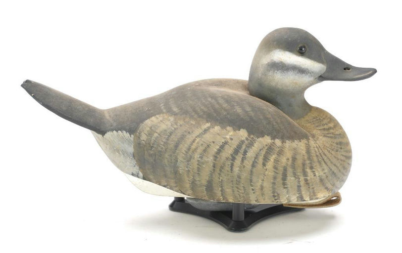 Keith Mueller – Ruddy Duck – 2023