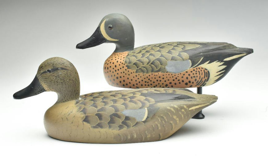 David W. Nichol – Blue-winged Teal – 2023