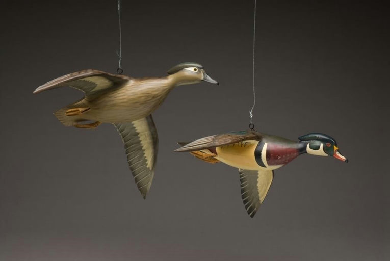 Mike Borrett – Flying Wood Duck Pair – 2010