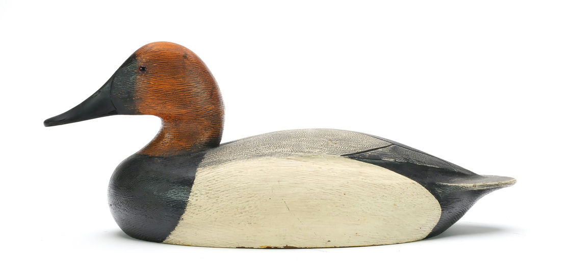 Ken Anger – Canvasback – 2024