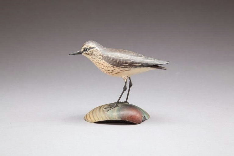 Elmer Crowell – Semipalmated Sandpiper – 2013