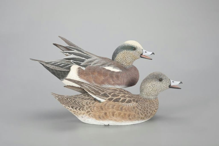 W. J. Badeaux – Calling Wigeon Pair – 2023