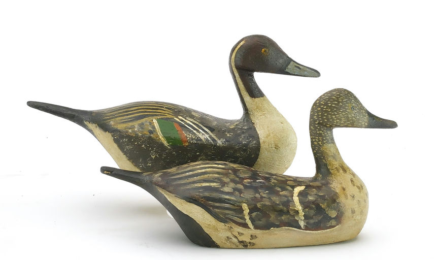 Reggie Birch – Pintail – 2024