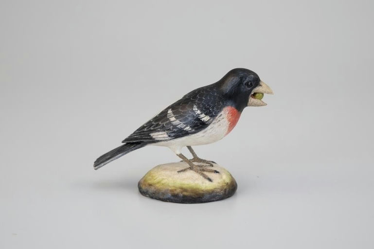 Frank Finney – Rose-Breasted Grosbeak – 2026