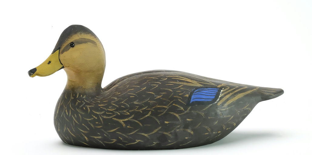 Ward Brothers – Black duck – 2024