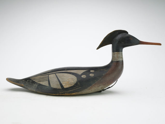 Mark McNair – Red-breasted merganser – 2024