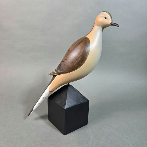 Steve Morey – Dove – 2026