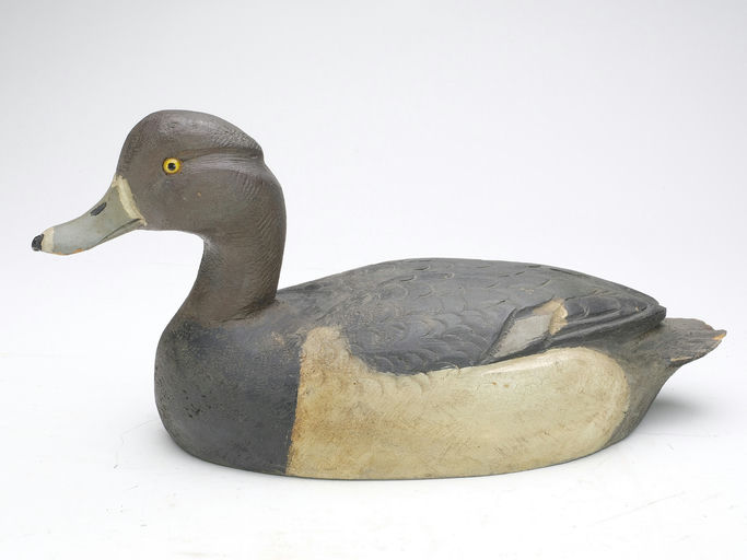 Ben Schmidt – Ringneck – 2024