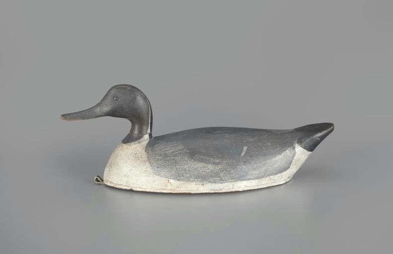 George Warin – Pintail Drake – 2024
