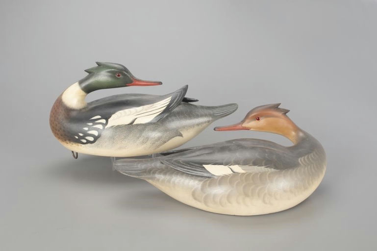 Keith Mueller – Preening Merganser Pair – 2022