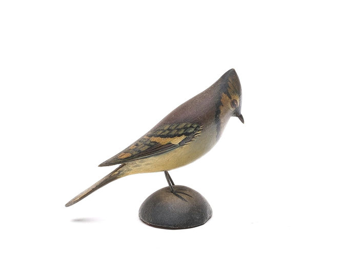 Elmer Crowell – Miniature Blue Jay – 2026