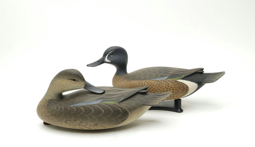 George Strunk – Pair of Blue-winged Teal – 2025