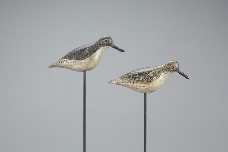Verity Family – The Muller Verity Peep Pair – 2023
