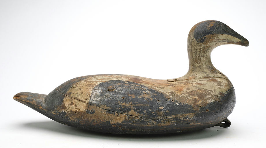 Reggie Birch – Eider – 2024