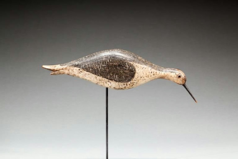 Thomas A. Paine – Greater Yellowlegs – 2016