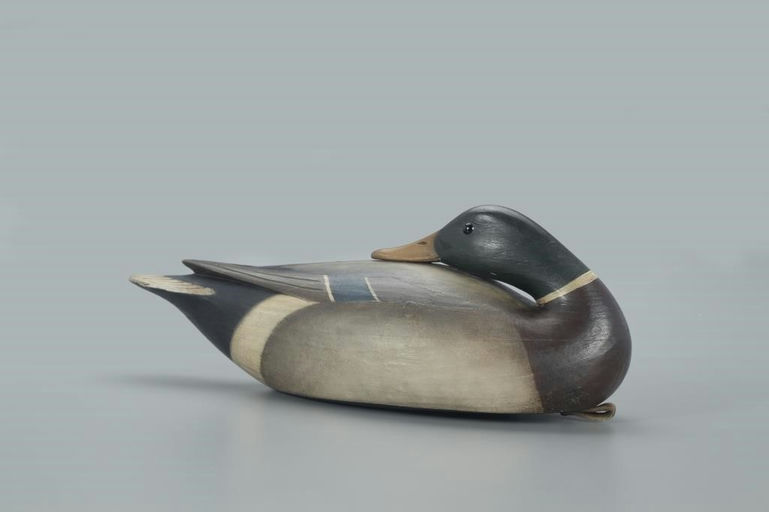 Mark McNair – Stavis Preening Mallard – 2022