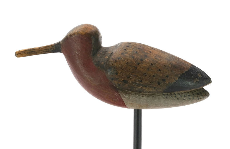 Mark McNair – Red knot – 2024