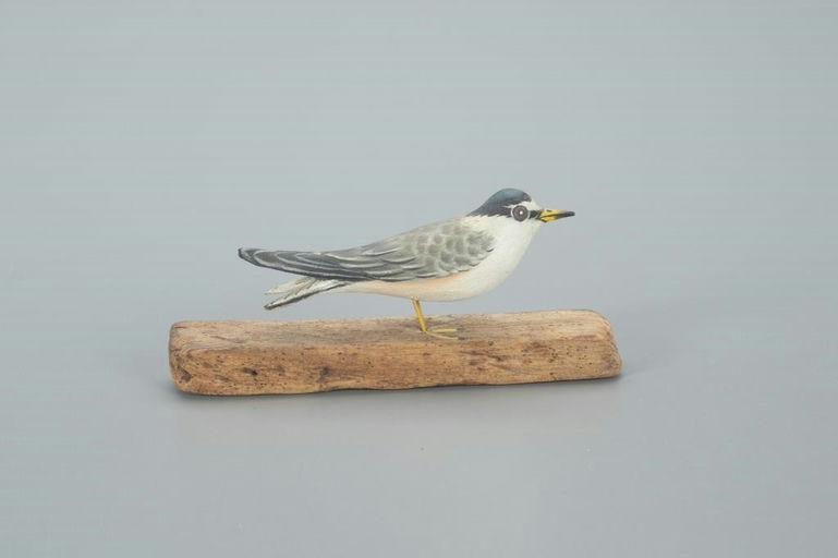 Elmer Crowell – Miniature Least Tern – 2022