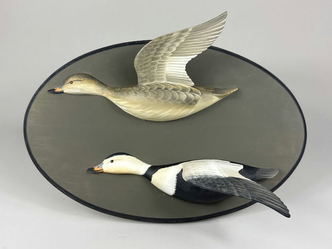 George Strunk – Labrador duck – 2026