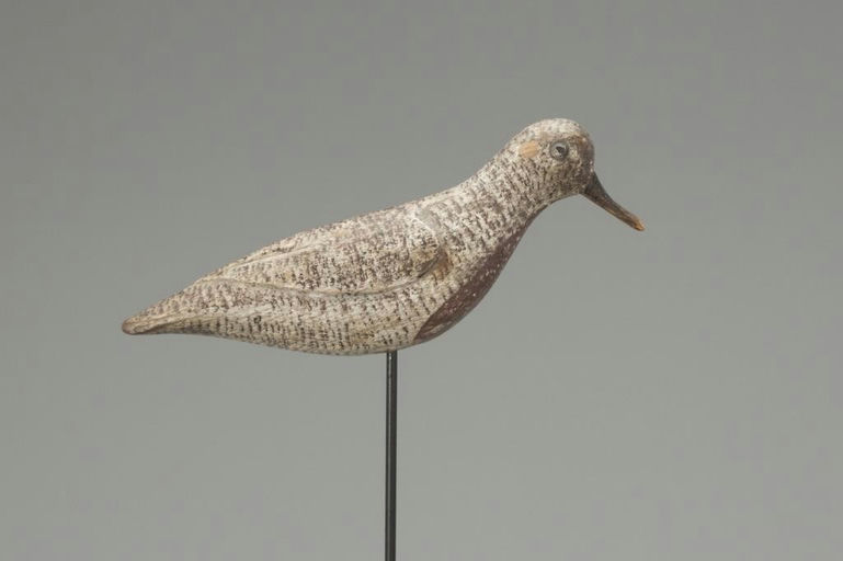 Verity Family – Rare Running Red Knot – 2018