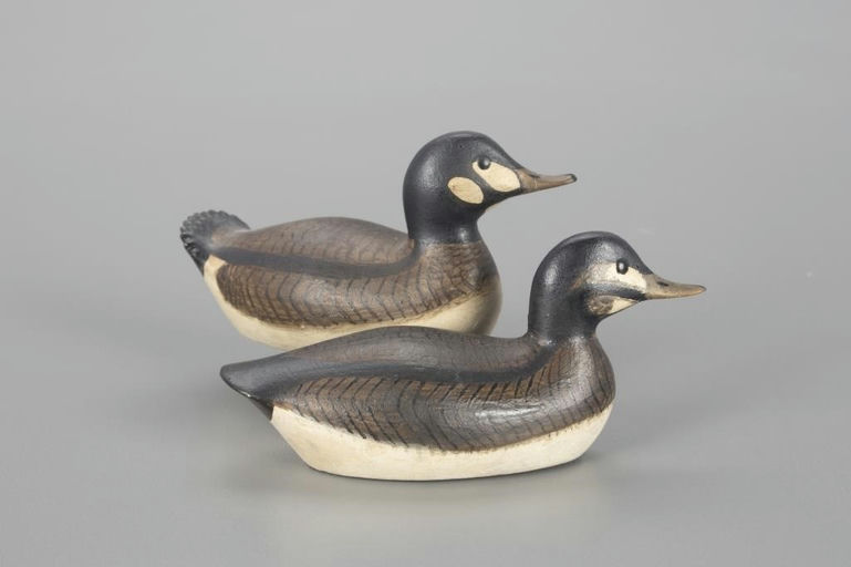 George Boyd – Rare Miniature Ruddy Duck Pair – 2022