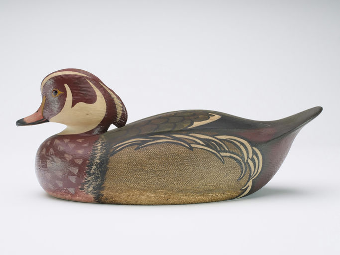 Ken Anger – Wood Duck – 2024
