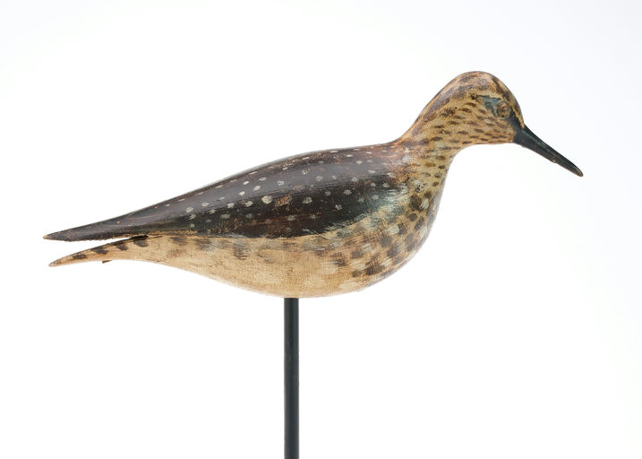Elmer Crowell – Lesser Yellowlegs – 2025