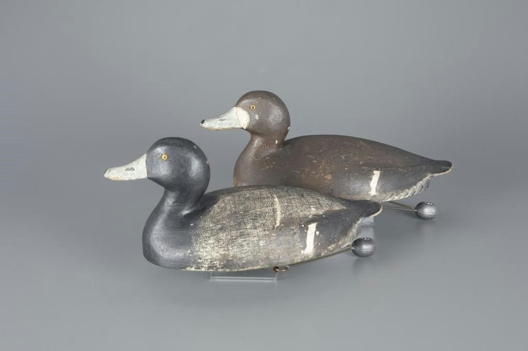 Ivar Fernlund – Bluebill Pair – 2024