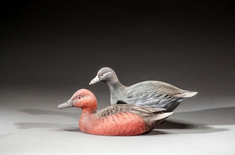 Roger C. Mitchell – Coot and Cinnamon Teal – 2016