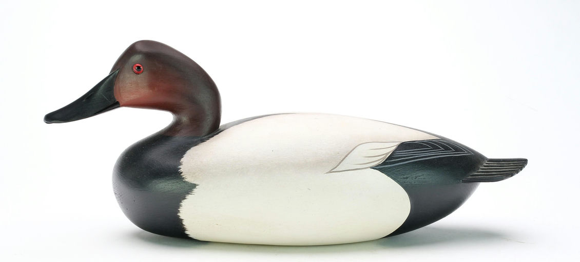 George Strunk – Canvasback – 2025