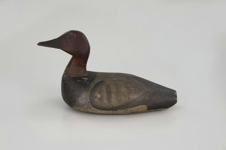 Edmund G. Gardiner – Gardiner High-Head Canvasback – 2026