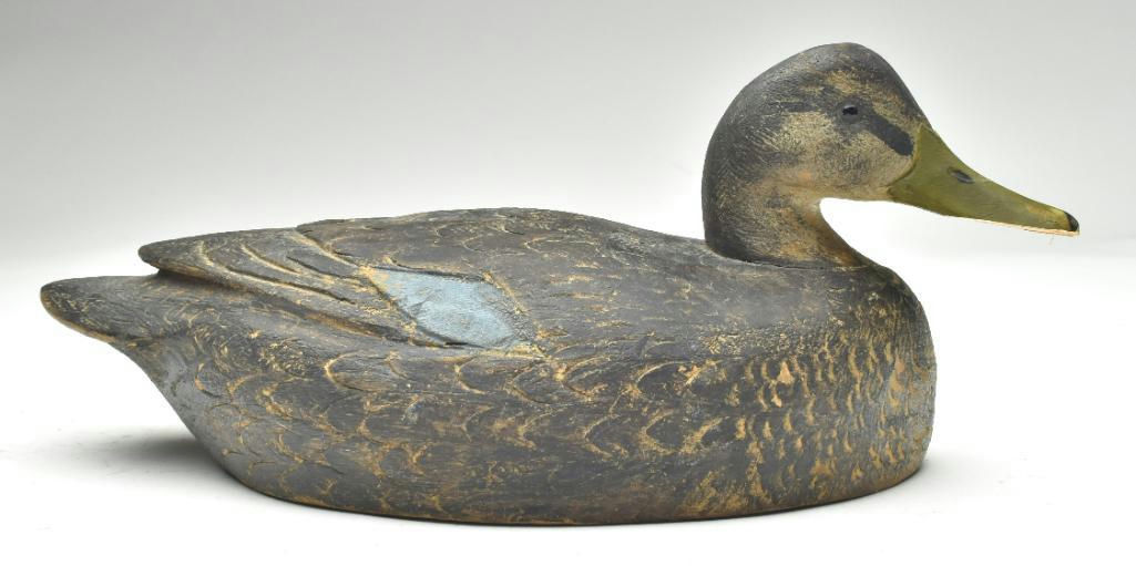 Ben Schmidt – Black Duck – 2023