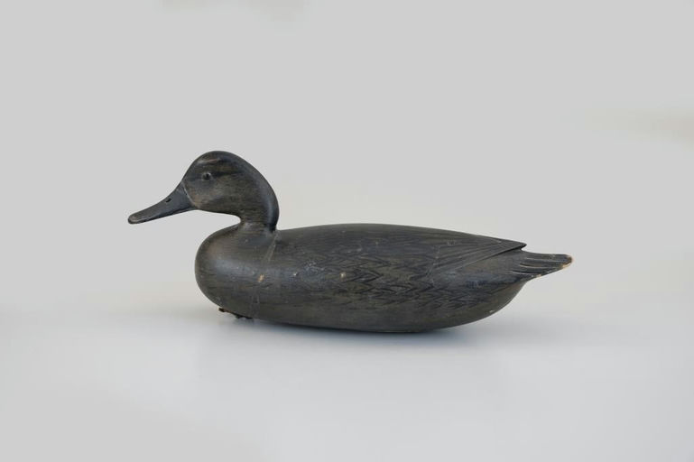 John English – The O'Brien English Pintail Hen – 2026